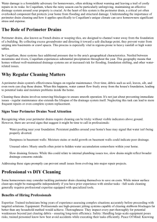 Perimeter Drain Cleaning: Protecting Your Coquitlam Home from Water Damage