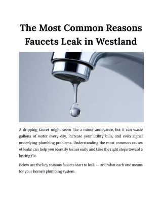 The Most Common Reasons Faucets Leak in Westland