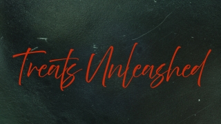 Gentle and Stress-Free Dog Grooming