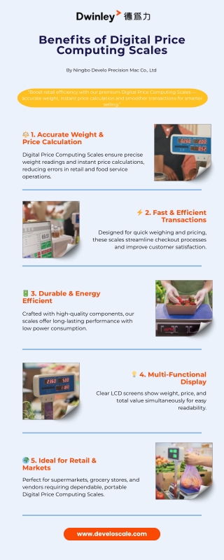 Top Benefits of Using Digital Price Computing Scales  Ningbo Develo Precision Mac Co., Ltd