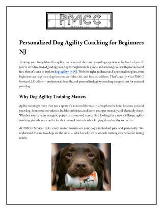 Personalized Dog Agility Coaching for Beginners NJ