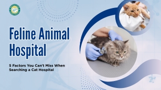 Accessibility and Convenience at a Feline Animal Hospital