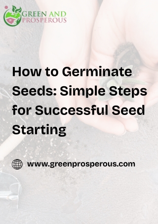 How to Germinate Seeds Simple Steps for Successful Seed Starting
