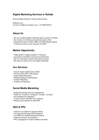 Best Digital Marketing Company in Rohtak