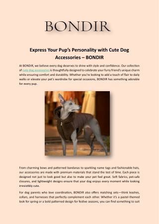 Express Your Pup’s Personality with Cute Dog Accessories – BONDIR
