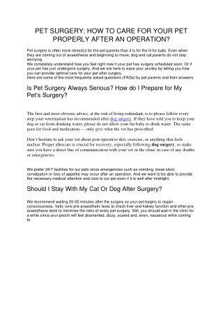 Dog surgery