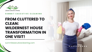 Discover Wildernest’s Trusted Deep Cleaning Experts| Professional Deep Cleaning