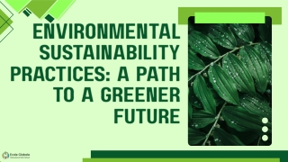 Environmental Sustainability Practices: A Path to a Greener Future