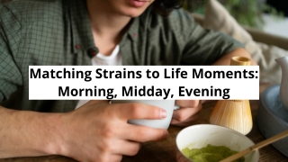 Matching Strains to Life Moments_ Morning, Midday, Evening
