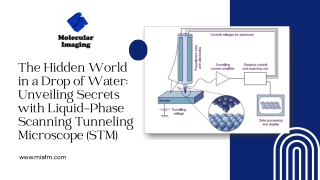The Hidden World in a Drop of Water Unveiling Secrets with Liquid-Phase Scanning Tunneling Microscope (STM)