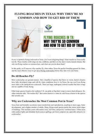 Flying Roaches in Texas: Why They’re So Common and How to Get Rid of Them