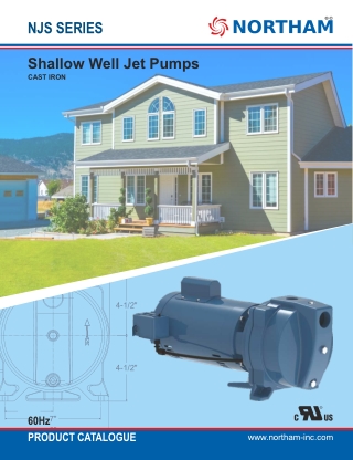 Cast Iron Shallow Well Jet Pumps In USA - Northam Inc.