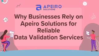 Why Businesses Rely on Apeiro Solutions for Reliable Data Validation Services