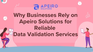 Why Businesses Rely on Apeiro Solutions for Reliable Data Validation Services