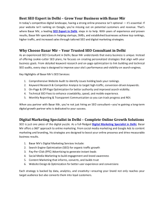 Basar Mir - SEO Expert and Consultant