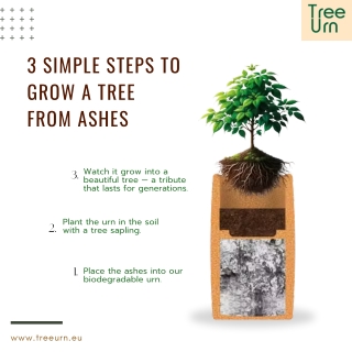 treeurn pdf 3 steps