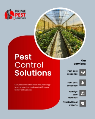pest control service in gurgaon
