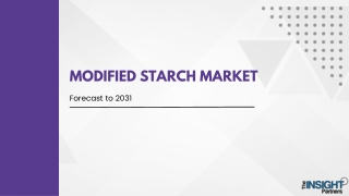 Modified Starch Market Report by Share, Growth and Size: 2031