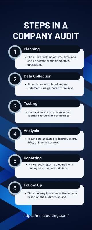 Steps in a Company Audit
