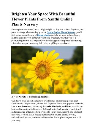 Enhance Your Garden with Vibrant Flower Plants