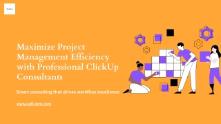 Maximize Project Management Efficiency with Professional ClickUp Consultants