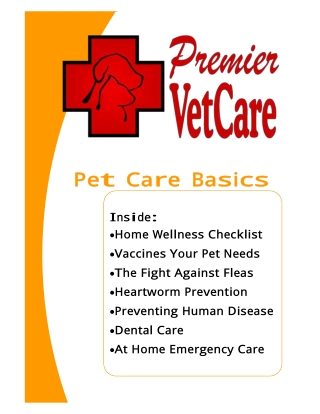 Essential Guide to Pet Care: Keeping Your Furry Friend Healthy and Happy