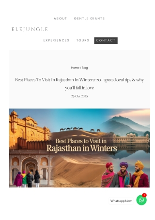 Best Places To Visit In Rajasthan In Winters