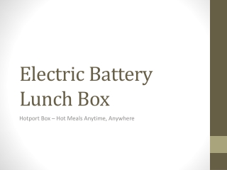 Electric Battery Lunch Box by Hotport Box for Hot Meals Anywhere