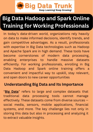 Big Data Hadoop and Spark Online Training for Working Professionals