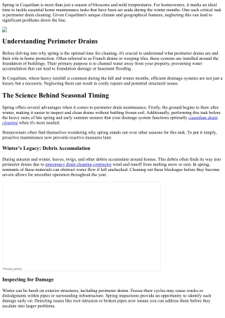 Why Spring is the Best Time for a Comprehensive Perimeter Drain Cleaning in Coqu