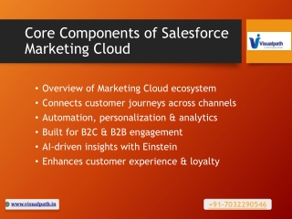 Salesforce Marketing Cloud Course Online - Salesforce Marketing
