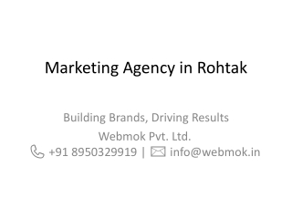 Trusted Marketing Agency in Rohtak