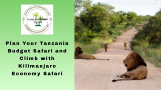 Plan Your Tanzania Budget Safari and Climb with Kilimanjaro Economy Safari