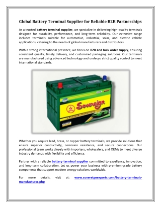 Global Battery Terminal Supplier for Reliable B2B Partnerships