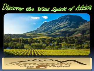 Discover the Wild Spirit of Africa