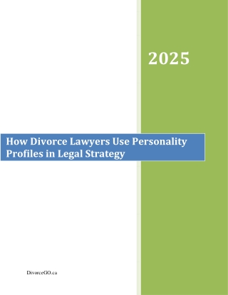 How Divorce Lawyers Use Personality Profiles in Legal Strategy