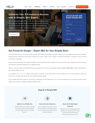 shopify seo consultant