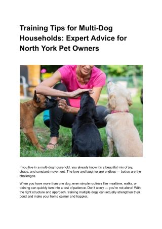 Training Tips for Multi-Dog Households_ Expert Advice for North York Pet Owners