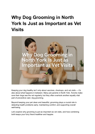 Why Dog Grooming in North York Is Just as Important as Vet Visits