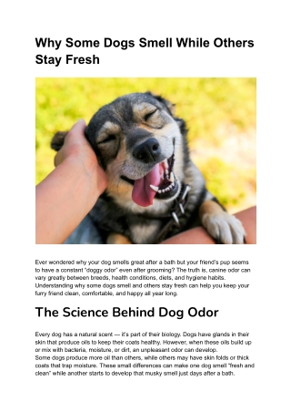 Why Some Dogs Smell While Others Stay Fresh