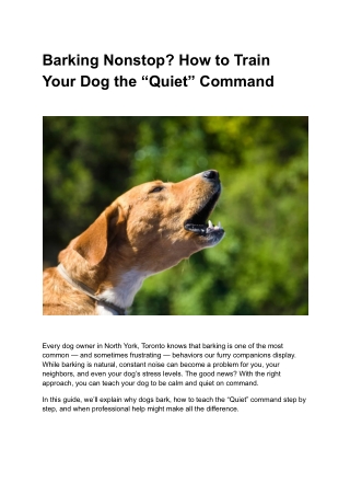 Barking Nonstop_ How to Train Your Dog the “Quiet” Command