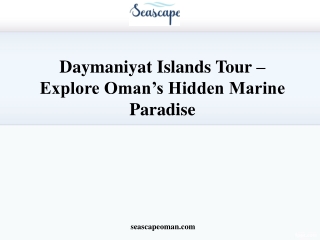 Daymaniyat Islands Tour – Explore Oman’s Hidden Marine Paradise