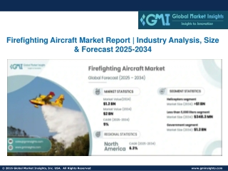 Firefighting Aircraft Market Report, Industry Analysis, Size, Forecast 2025-2034
