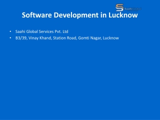 Colorful_Software_Development_Saahi_Global_Presentation