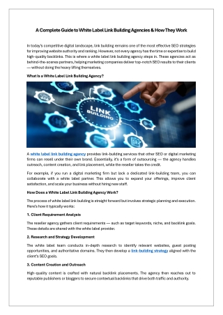 A Complete Guide to White Label Link Building Agencies