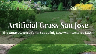 Artificial Grass San Jose: The Smart Choice for a Beautiful, Low-Maintenance Law