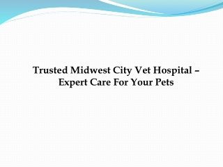 Trusted Midwest City Vet Hospital – Expert Care For Your Pets