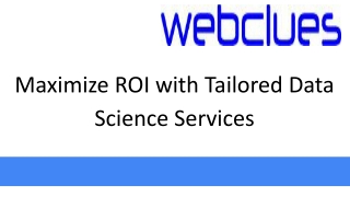Maximize ROI with Tailored Data Science Services
