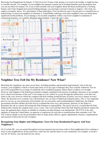 My Neighbor Cut Down My Tree: Can I Sue?