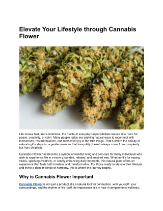 Step Into Serenity with Premium Cannabis Flower